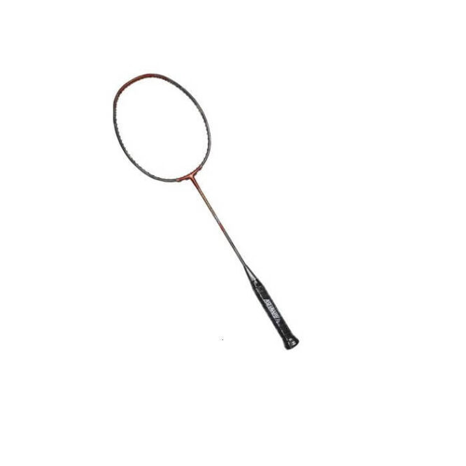Ashaway Terminator 005 Badminton Racket