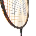 Ashaway Viper XT 1600 Badminton Racquets
