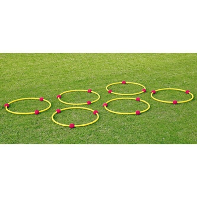 Vinex Step Training Hoops (Balls)