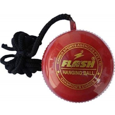 Flash Hanging Synthetic Cricket Ball