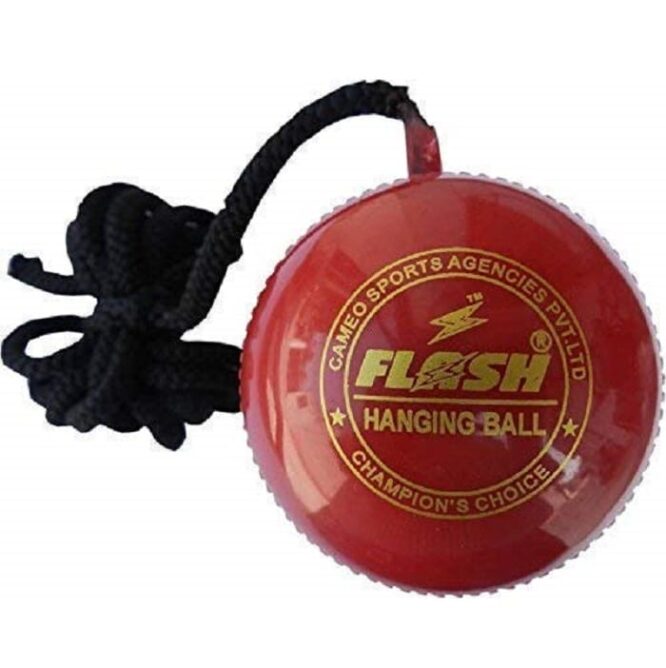 Flash Hanging Synthetic Cricket Ball