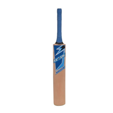 Flash Slasher Kashmir Willow Cricket Bat