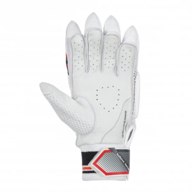 SG Prosoft Cricket Batting Gloves (Traditional) (2)