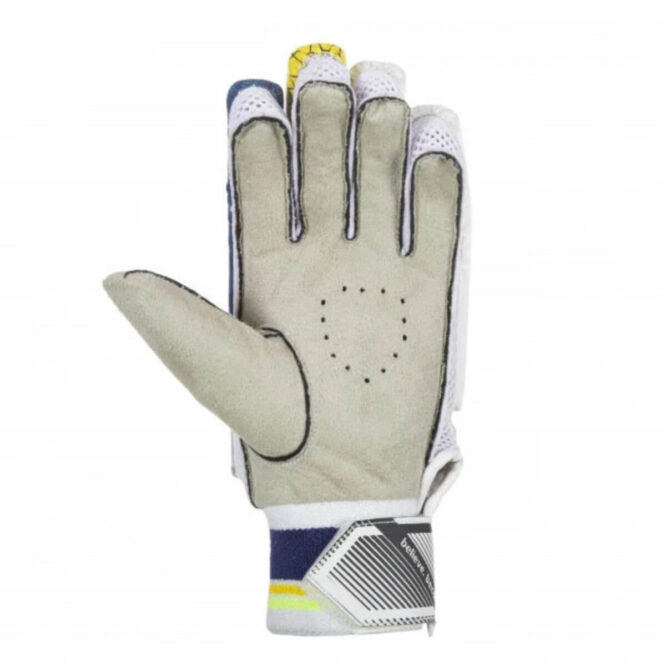 SG RSD Xtreme Cricket Batting Gloves (Lightweight) (3) (1)
