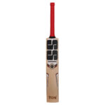 SS Professional English Willow Cricket Bat-SH P1