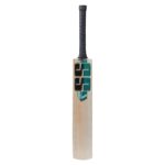 SS Super Sixes Kashmir Willow Cricket Bat - SH (4)