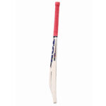SS Ton Reserve Edition Kashmir Willow Cricket Bat-SH p1