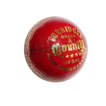 SS County Alum Tanned Cricket Ball