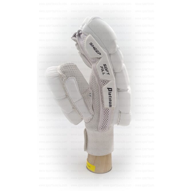 BDM Platinum Cricket Batting Gloves-Men's p3