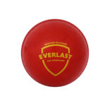 SG Everlast Cricket Synthetic Ball (Pack Of 6)