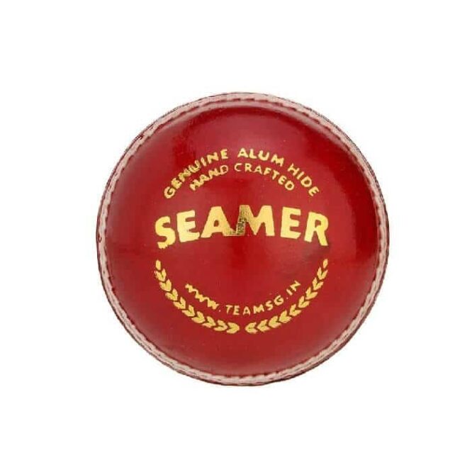 SG Seamer Cricket Leather Ball (Pack of 6)