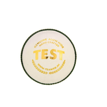 SG Test White Cricket Leather Ball-White