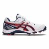 Asics Gel-Gully 5 Cricket Shoes (White/Blue Expenses)