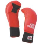 USI Martial Arts Gloves (770KM)