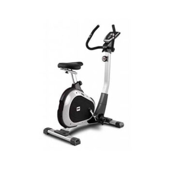 BH Fitness H673 ARTIC Upright Cycle