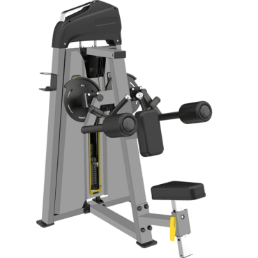 Cosco CE-3005 Lateral Raise Weight Machine