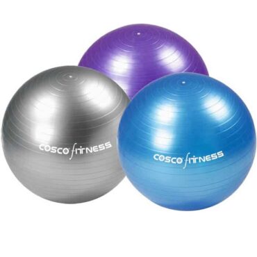 Cosco Gym Ball (55cm/65cm/75cm/85cm/95cm)