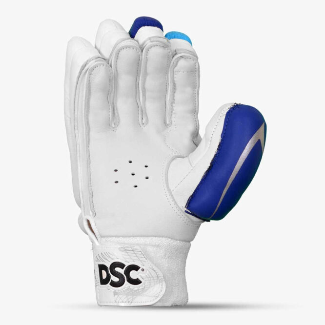 DSC Condor Surge Cricket Batting Gloves (1)