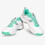 DSC Surge 2.0 Cricket Shoe (WhiteSea Green) (1)