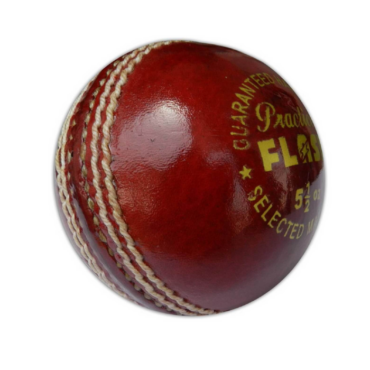 Flash Practice Leather Cricket Ball