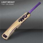 GM Haze Maestro Cricket Bat-Kashmir Willow