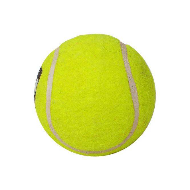 GM Heavy Tennis Balls (Red/Yellow)