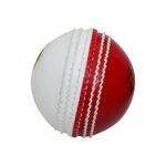 GM Skill Cricket Balls (Red/White, Red, Pink)