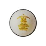 GM Super County Leather Cricket Ball (Red/White)
