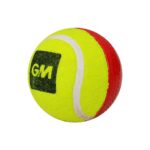 GM Swing King Cricket Balls (Red/Yellow)