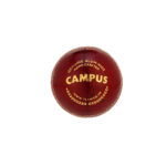 SG Campus Cricket Leather Ball (Pack of 6)