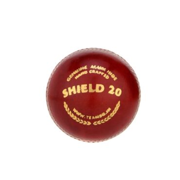 SG Shield 20 Cricket Leather Ball (Pack of 6)