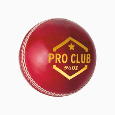DSC Pro Club Leather Cricket Ball (6Balls) (1)
