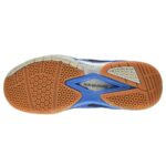 Proase BG 010 Badminton Shoes (Blue)