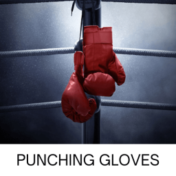 Punching Gloves