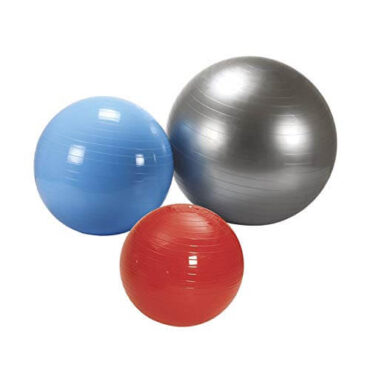 Vector X Anti Burst Gym Ball