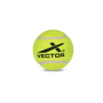 Vector X Cricket Tennis Ball