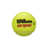 Wilson US Open Tennis Balls Carton (24 Cans)