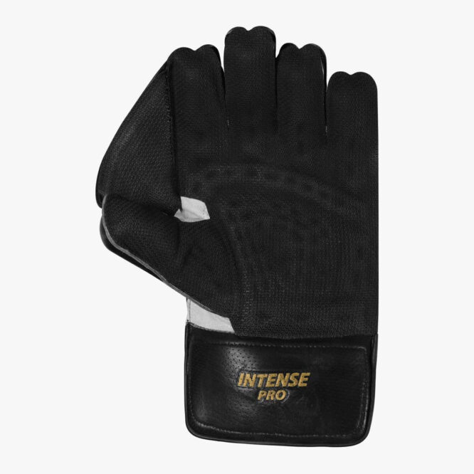 DSC Intense Pro Wicket Keeping Gloves