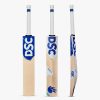 DSC BLU Pro English Willow Cricket Bat