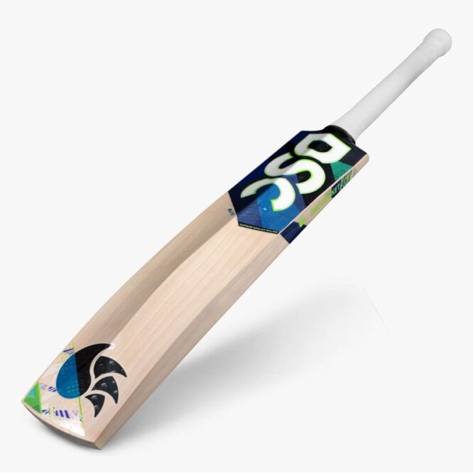 DSC BLU Pro English Willow Cricket Bat p1