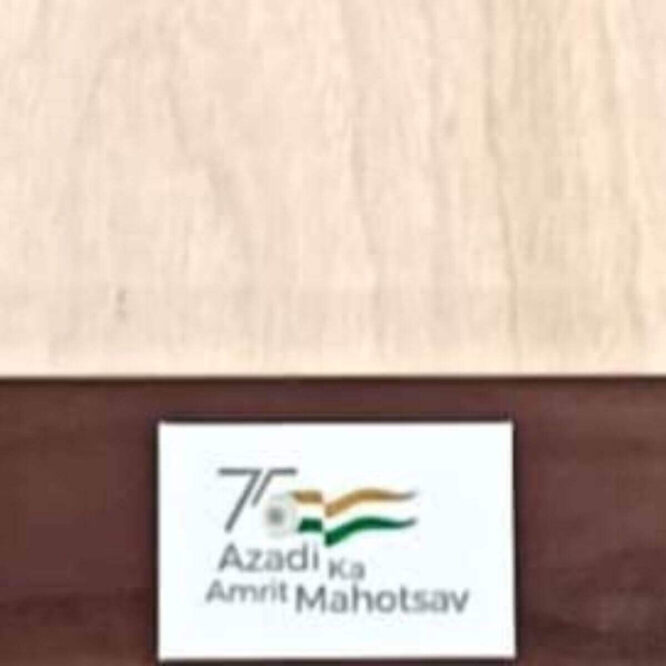 SISCAA Winit Natural Amrut Mahotsav Edition Carrom Board p1