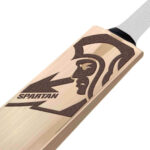 Spartan Shadow Signature English Willow Cricket bat p2