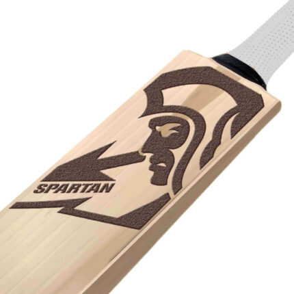 Spartan Shadow Signature English Willow Cricket bat p2