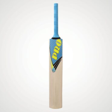 Protos Pro Painted Kashmir Willow Cricket Bat (2)