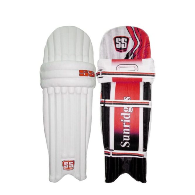 SS Kashmir Willow Full Cricket Kit -Men's p3