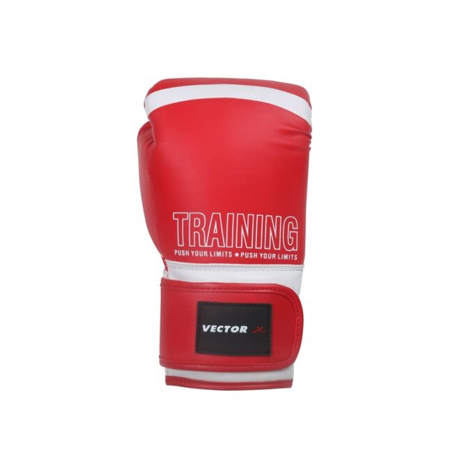 Vector X Training Boxing Gloves (3)