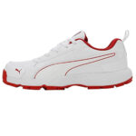 Puma Classicat Rubber Cricket Shoes (Red) P1