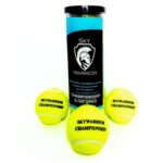 Skywarrior Championship All Court Surfaces Tennis Ball (1Can) p1