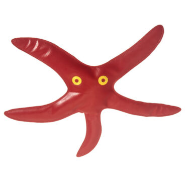 Fitfix Divig Object Starfish Shape for Swimming and Water Fun