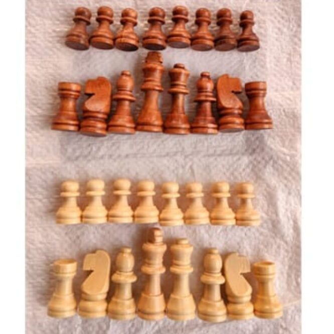 GBC Wooden Chess Coin